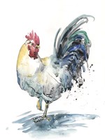 Rooster Splash I Fine Art Print