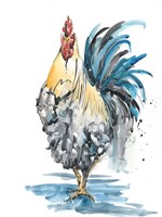 Rooster Splash II Fine Art Print