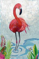 Vivid Flamingo II Framed Print