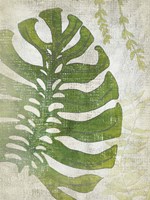 Frond III Framed Print