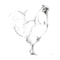 Rooster II Dark Square Fine Art Print