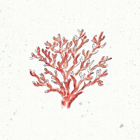 Maritime XIII Fine Art Print