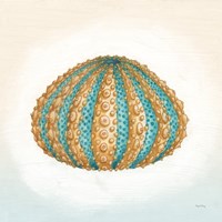 Boardwalk Urchin Fine Art Print