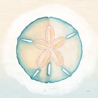 Boardwalk Sand Dollar Framed Print