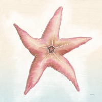 Boardwalk Starfish Fine Art Print