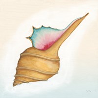 Boardwalk Murex Fine Art Print