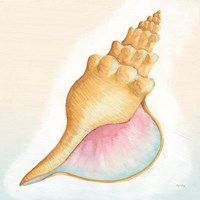 Boardwalk Conch Fine Art Print