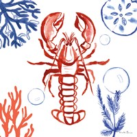 Coastal Jewels VI Fine Art Print