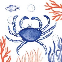 Coastal Jewels V Framed Print