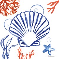 Coastal Jewels III Framed Print