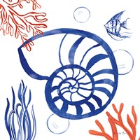 Coastal Jewels I Framed Print