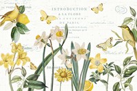 Citron Curiosities I Fine Art Print