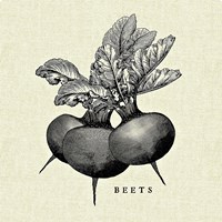 Linen Vegetable BW Sketch Beets Framed Print