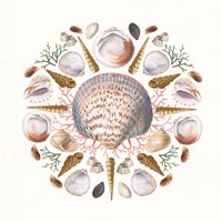 Ocean Mandala I Fine Art Print