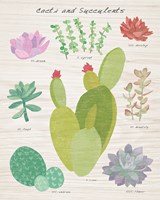 Succulent and Cacti Chart III on Wood Fine Art Print