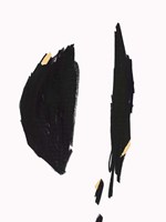 Falling I Fine Art Print