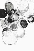 Black Rings I Fine Art Print