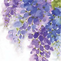 Wisteria I Fine Art Print