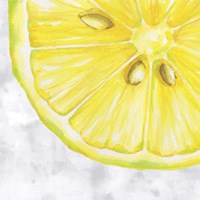 Fruit II Fine Art Print