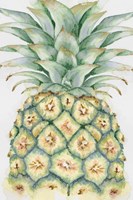 Fruit IV Fine Art Print