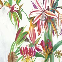 Tropical III Framed Print