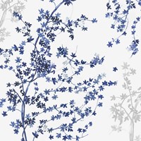 Blue Ivy Fine Art Print