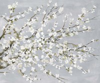 White Blossoms Fine Art Print