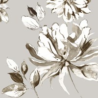 Botanical Gray I Framed Print