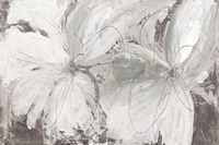 Silver Floral Fine Art Print