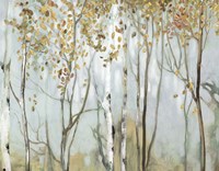 Birch in the Fog II Fine Art Print