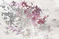 Hydrangea II Framed Print