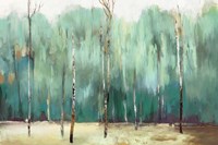Teal Forest Fine Art Print