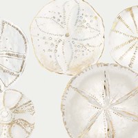 Sea Patterns I Fine Art Print