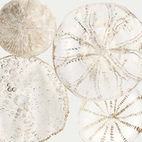 Sea Patterns II Fine Art Print