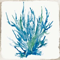Blue Coral I Framed Print