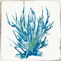 Blue Coral I Fine Art Print