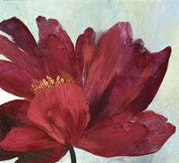 Red Splendor Fine Art Print