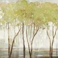 Green Canopy I Fine Art Print