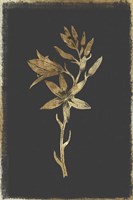 Botanical Gold on Black I Framed Print