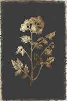 Botanical Gold on Black II Fine Art Print