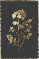 Botanical Gold on Black II Framed Print