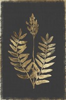 Botanical Gold on Black III Fine Art Print