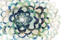 Floral Pattern Fine Art Print