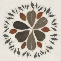 Leaf Pattern II Fine Art Print