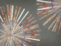 Dandelion Warm II Fine Art Print