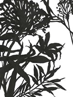 Monochrome Foliage I Fine Art Print