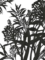 Monochrome Foliage II Fine Art Print