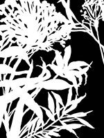 Monochrome Foliage III Fine Art Print