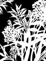 Monochrome Foliage IV Fine Art Print