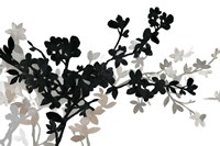 Apple Bloom I Fine Art Print